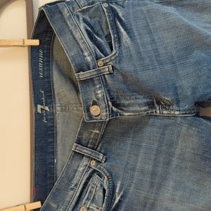 7 for all Mankind Roxanne skinny